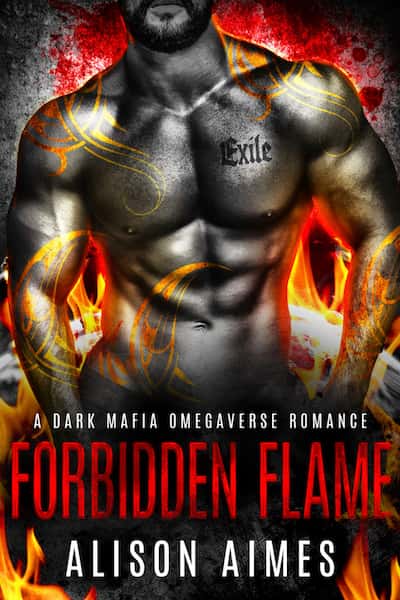 Book cover for Forbidden Flame by Alison Aimes
